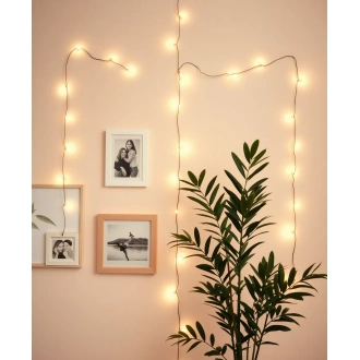 Warm Fairy Lights